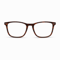 Tortoise Wayfarer